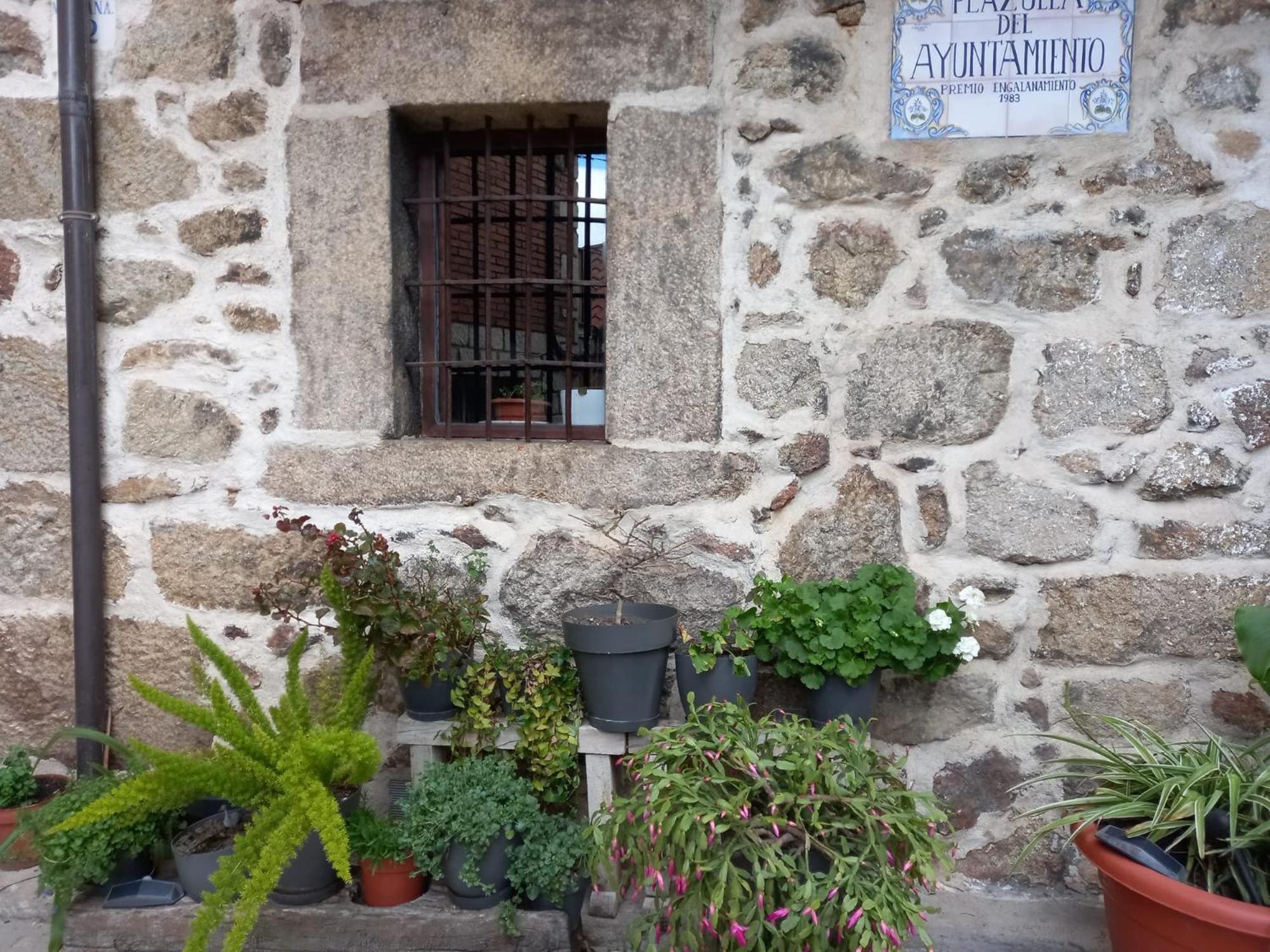 Hostal Casa Doña Ligia Mijares  Exterior foto